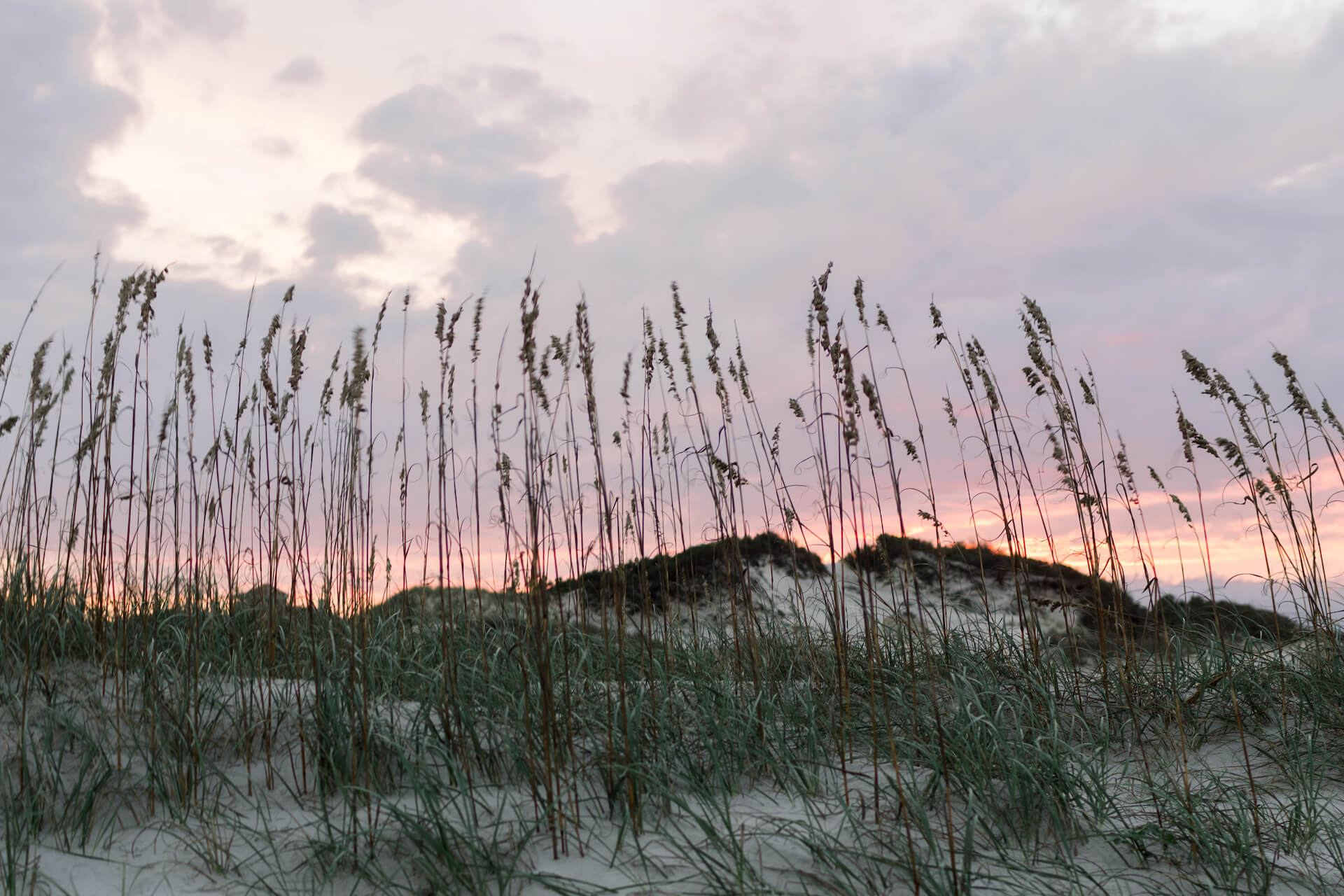 What To Do On Amelia Island When It Rains 